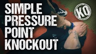 Simple Pressure Point Knockout [upl. by Griseldis]