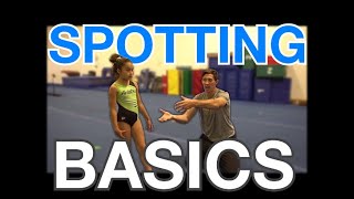 Gymnastics Spotting  Basics through Back Handspring  employee training [upl. by Zumstein907]