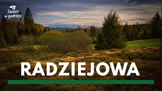 Wiosna w Beskidach to coś pięknego  Radziejowa  Beskid Sądecki [upl. by Devin]