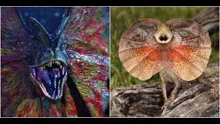 Top 5 reptiles que parecen dinosaurios CUARTO DE REPTILES [upl. by Stalk]