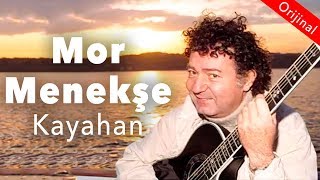 Kayahan  Mor Menekşe Official Audio [upl. by Etteyafal]