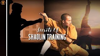 SHAOLIN TRAINING Methods Explained  Myth vs Reality  Legendary Training Series [upl. by Eiznekam]