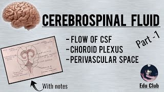 Cerebrospinal Fluid  Part 1 [upl. by Ainoloppa]