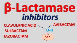 Betalactamase inhibitors [upl. by Sweet79]