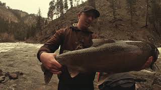 Nonstop Steelhead  Idaho Action [upl. by Dewar]