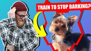 How To Stop Your YORKSHIRE TERRIER Barking [upl. by Amii356]