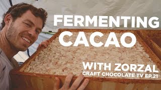 Fermenting Cacao 4 tier cascade system  Episode 21  Craft Chocolate TV [upl. by Mallen]