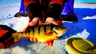 Devils Lake Perch  InDepth Outdoors TV  Season 6 Episode 4 [upl. by Leuqar]