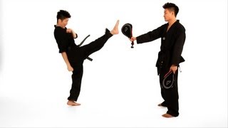 How to Do a Front Kick  Taekwondo Training [upl. by Emelia]