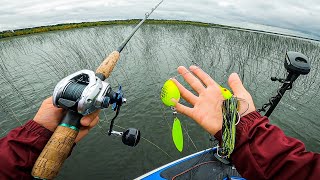 Minnesota Musky Fishing TOURNAMENT Fishing DEEP In The Reeds For Muskie [upl. by Argus]