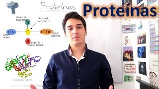 Proteínas y Aminoácidos UN MES DE CLASES EN 10 MINUTOS [upl. by Kaehpos]