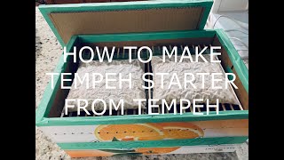 How To Make Tempeh Starter From Tempeh [upl. by Stella581]