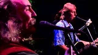 Crosby Stills amp Nash quotDeja Vuquot Live [upl. by Ynahteb731]