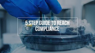 5 Step Guide to REACH Compliance [upl. by Loydie]