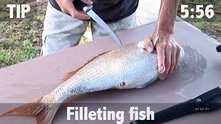 How to Fillet Fish [upl. by Elleiram494]