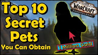 Top 10 Secret Pets You Can Obtain in World of Warcraft [upl. by Dinerman]