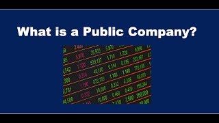 What is a Public Company [upl. by Legyn745]