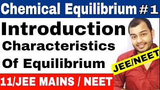 Class 11 chapter 7  Equilibrium  Chemical Equilibrium 01  Introduction  IIT JEE MAINS  NEET [upl. by Duax]