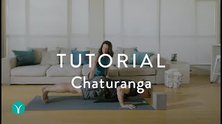 How to do Chaturanga Properly  YOGA TUTORIAL [upl. by Midian]