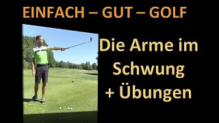 EinfachGutGolf Die Arme im Schwung [upl. by Verlee]