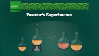 Pasteurs experiments Microbiology biology pasteur microbiology louispasteur [upl. by Namus484]