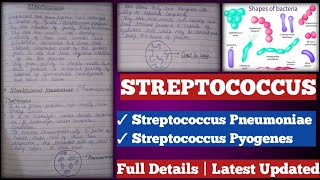 Streptococcus  streptococcus Pyogenes  streptococcus pneumoniae [upl. by Adnohsad]