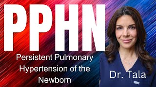 Doctor Explains Persistent Pulmonary Hypertension of the Neonate [upl. by Atiuqer]