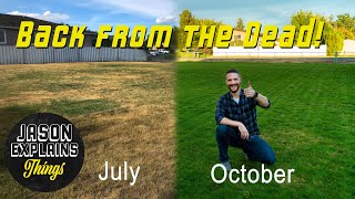 Lawn Renovation Step by Step Guide [upl. by Atrahc]