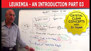 Acute leukemia  Hematologic System Diseases  NCLEXRN  Khan Academy [upl. by Iadrahc914]