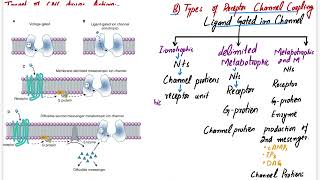 CNS Pharmacology  Katzung Chapter 25  Introduction to CNS Pharmacology  cns pharmacology lectures [upl. by Enialb]