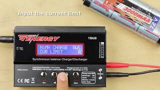 How To Charge Series Charging NiMH Battery Packs on the TB6B [upl. by Gavan]