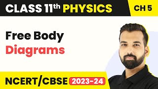 Free Body Diagrams  Laws of Motion  Class 11 Physics [upl. by Gena]