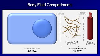 IV Fluids Lesson 1  Basic Principles [upl. by Ennaj429]