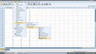 How to Use SPSS Cochrans Q Test [upl. by Haleigh]