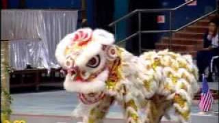 Finalist 8  Hong Kong Lion Dance CHINA [upl. by Attennot383]