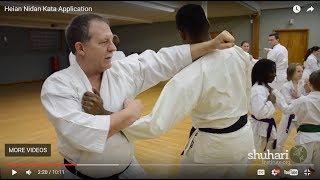 Heian Nidan Oyo  Bunkai Kata Application [upl. by Llerihs]