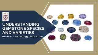 GemA Live Understanding Gemstone Species and Varieties [upl. by Asennav]