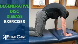 Degenerative Disc Disease Exercises  SpineCare St Joseph MI Chiropractic [upl. by Assirehc]