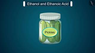 Ethanol and Ethanoic Acid  Part 11  English  Class 10 [upl. by Garrott]