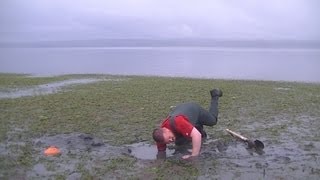 WA Shellfish Quest EP 15 Geoduck [upl. by Calica]