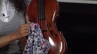 How to Play the Viola [upl. by Irol]