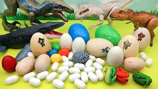 Dinosaur Egg Collection  Jurassic World Egg Mini Dino Egg Transformer Egg [upl. by Stickney]