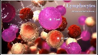 Leukemia  Causes and Symptoms  Part 13 [upl. by Tine]