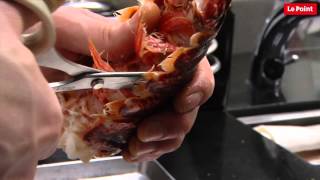 Le homard en pince pour les topinambours [upl. by Ekusuy]