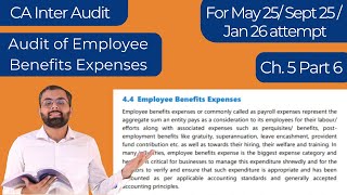 Audit of Employee Benefit Expenses  CA Inter Audit Chapter 5 Part 6  May 25 Sept 25 Jan 26 [upl. by Nahaj]