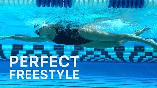 How To Swim Freestyle With Perfect Technique [upl. by Ireva]