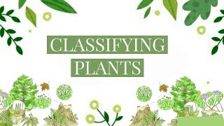 How are Plants classified  Science  Classification of Plants [upl. by Alphard446]