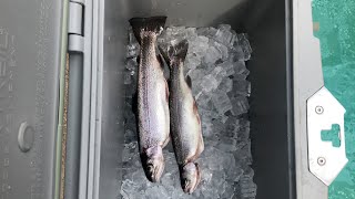 HOW TO CLEAN Fish To Eat EASY amp FAST  KastKing [upl. by Tenn381]