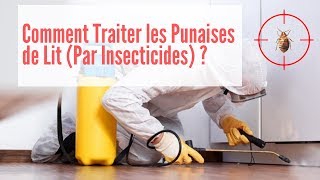 Comment Traiter les Punaises de Lit  Punaise de Lit Traitement [upl. by Odraleba]