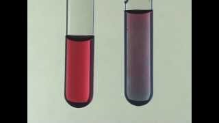 Citrate Synthesis of Gold Nanoparticles [upl. by Eedrahs]